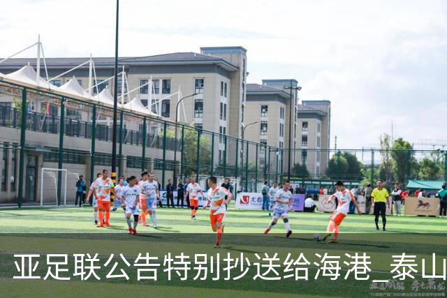 亚足联公告特别抄送给海港 泰山队尚有上诉可能