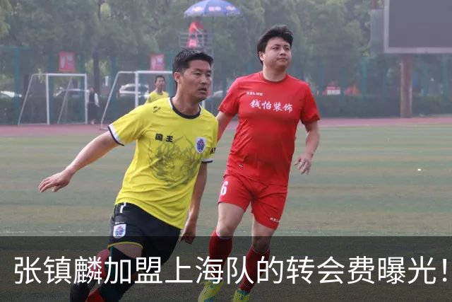 张镇麟加盟上海队的转会费曝光！