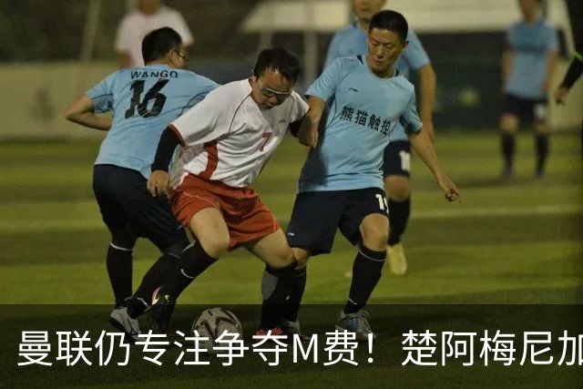 曼联仍专注争夺M费！楚阿梅尼加盟需满足两条件，对恩梅查态度曝光
