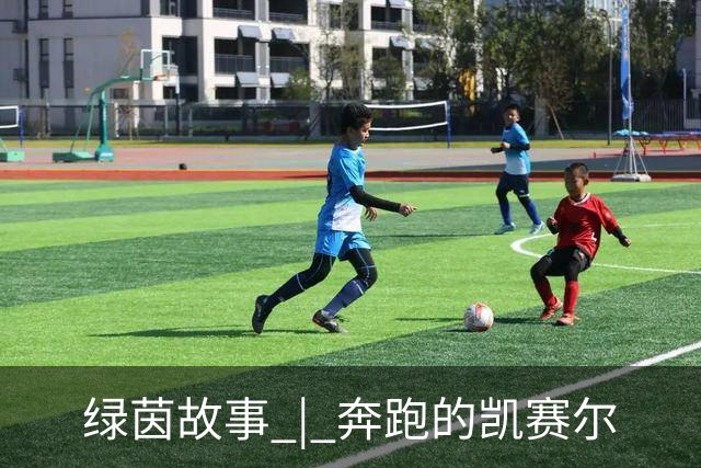 绿茵故事 | 奔跑的凯赛尔